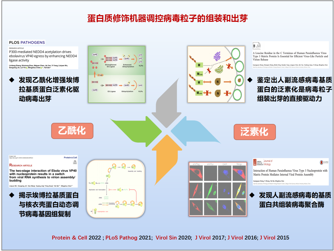 陈明周教授团队科技进展2023-12-12-6666_01(1)